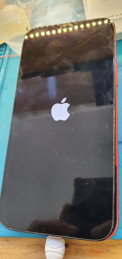 Apple iPhone 12: foto 5 dell'intervento in laboratorio